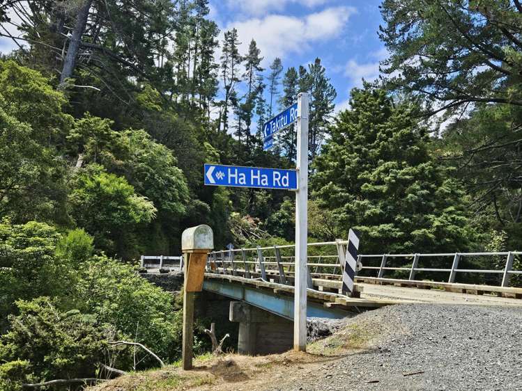 56 Ha Ha Road Pakotai_15