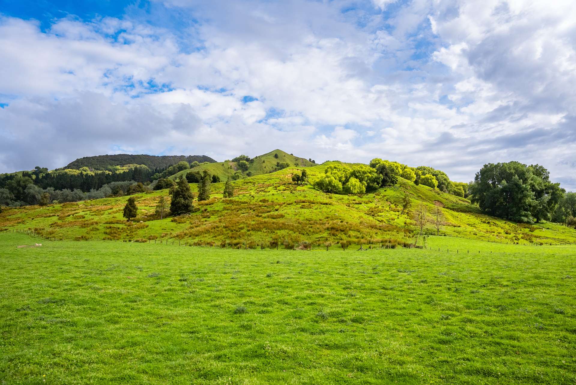 Kanakanaia Road Te Karaka_0