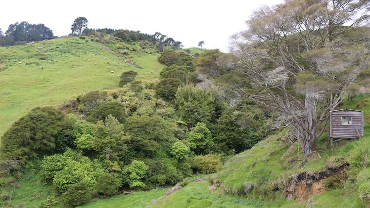 471b Taneatua Road Taneatua_6