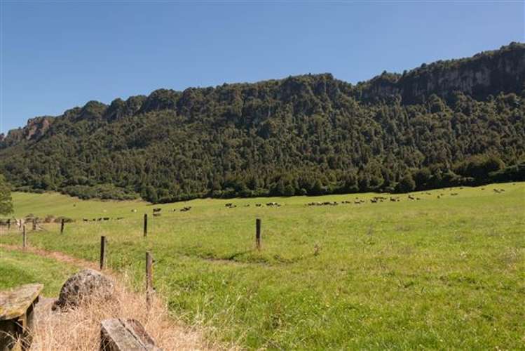 Apirana Road Horohoro_10