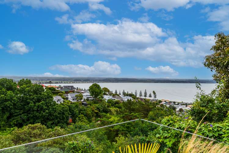 12 Cobden Crescent Bluff Hill_9