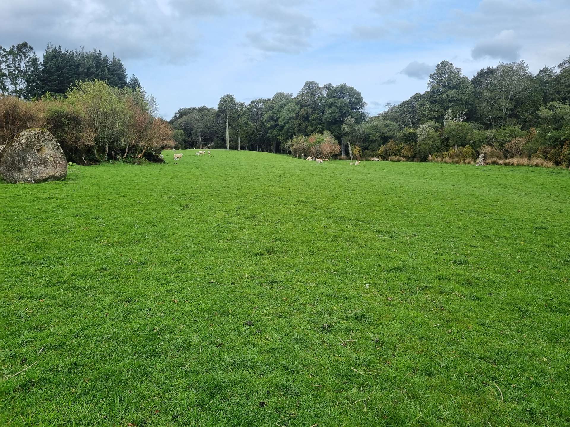 Tahakopa Valley Road Catlins Surrounds_0