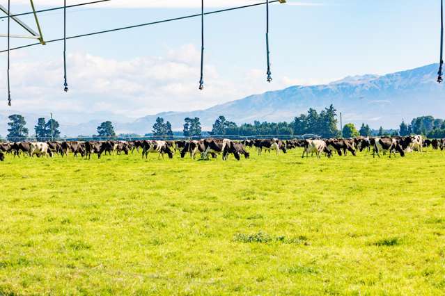 2247 Tinwald Westerfield Mayfield Road Ashburton_1