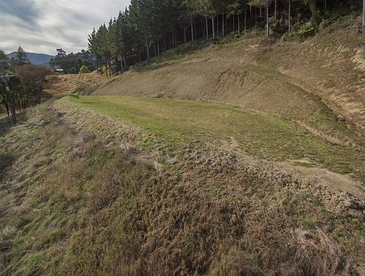 584 Wakapuaka Road Wakapuaka_14