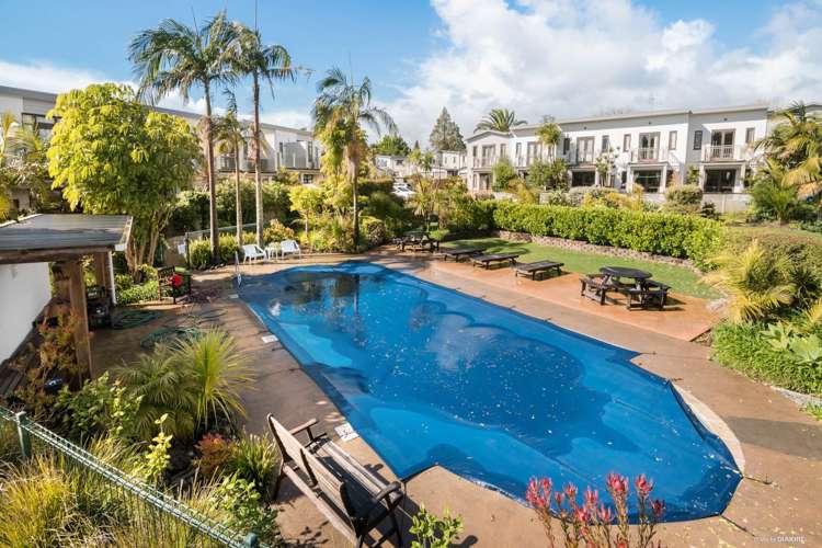 7/92 Bush Road Albany_1