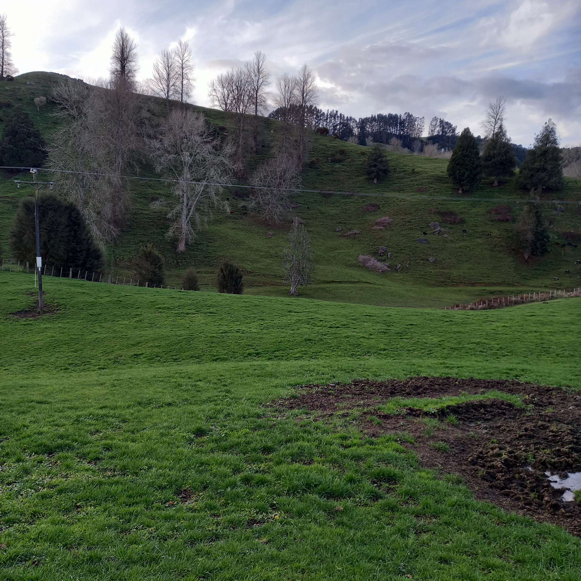 Lot 1, 627 Waitomo Valley Road Otorohanga_0