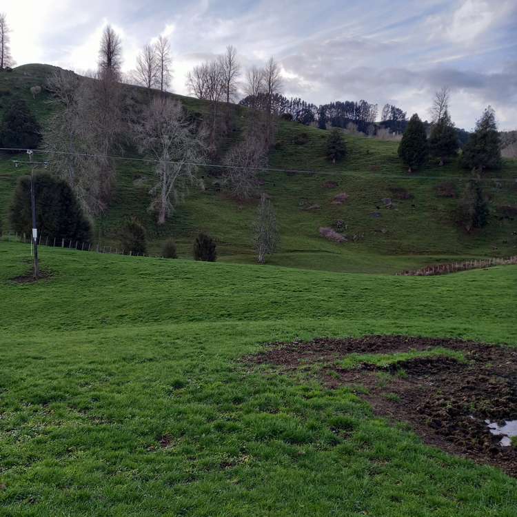 Lot 1, 627 Waitomo Valley Road_0