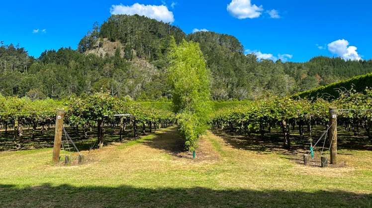 15 Tangiteroria Lane Pauanui_3