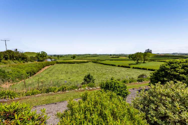 801 Bird Road Pukengahu_43