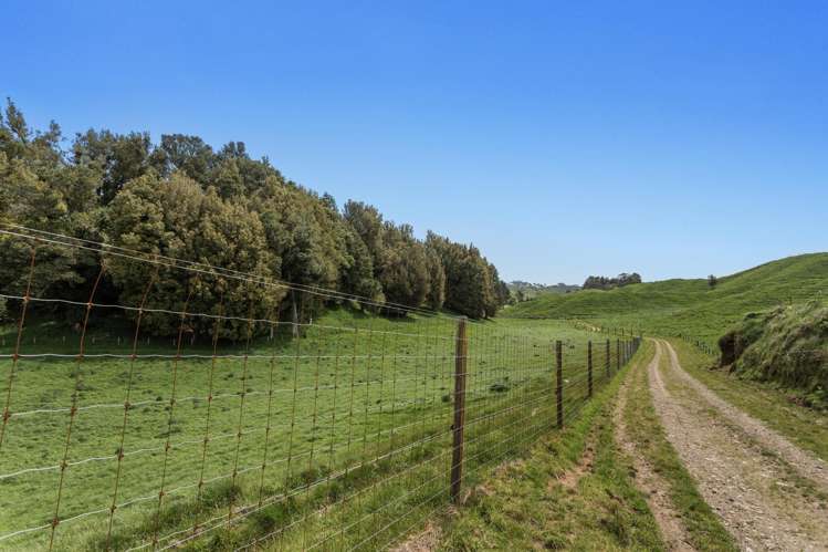 103 Rendall Road Rotoma_4