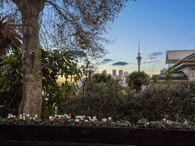 28 Wood Street Freemans Bay_18