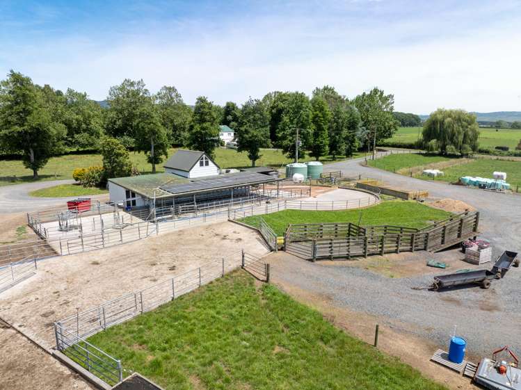 406 Manhire Road Morrinsville_7