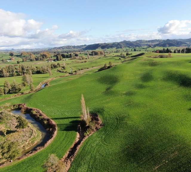 Waitomo Caves Road Waitomo_3