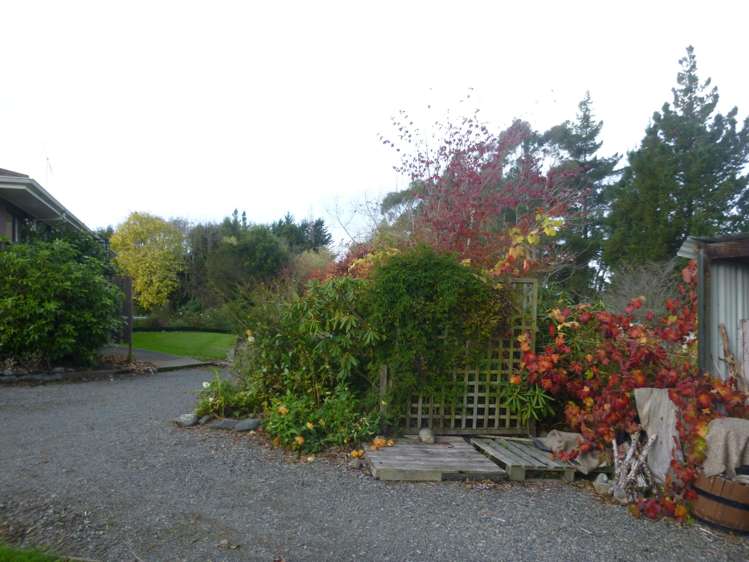 99 Pye Road Geraldine_12