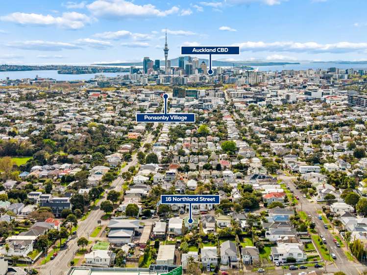 16 Northland Street Grey Lynn_14