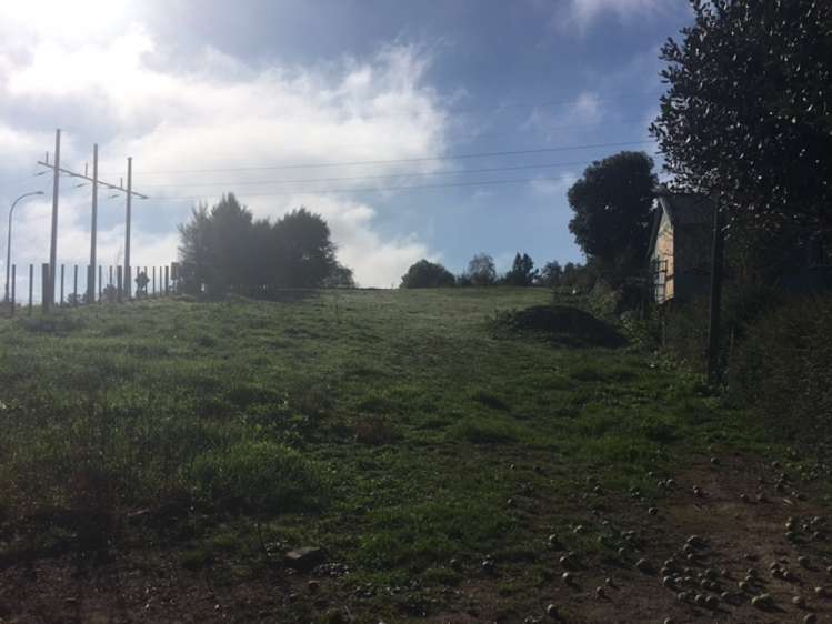 Arapuni Road Arapuni_8