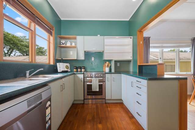 347 Old Taupo Road Springfield_4