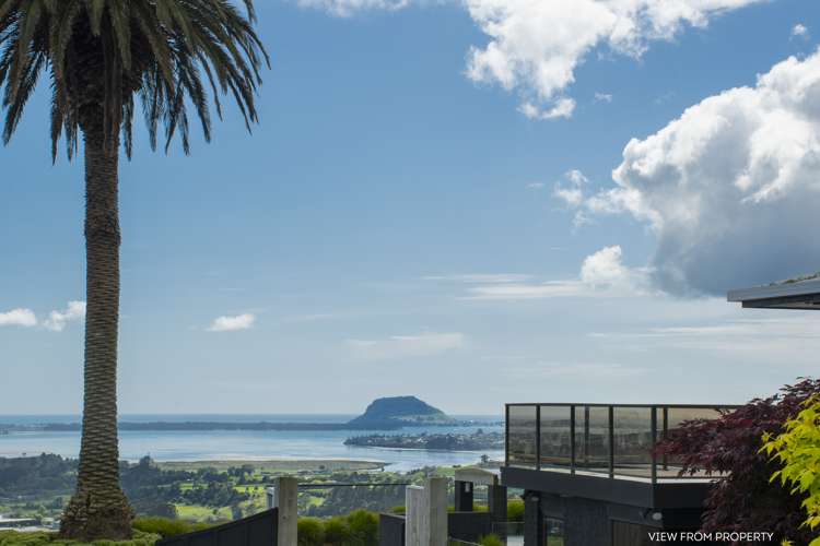 225a Minden Road Wairoa_18