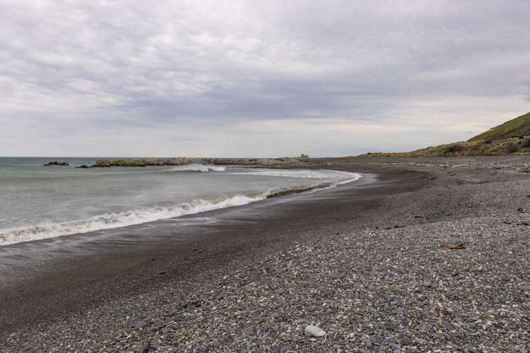 18 Clermont Street Ward_34