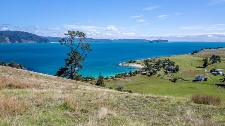 190 Pacific Ocean, Slipper Island (Whakahua) Thames_66