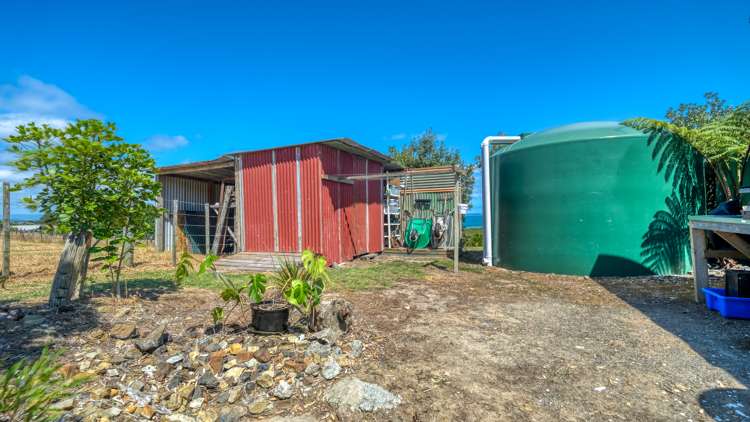 353 Rangiputa Road Karikari Peninsula_91