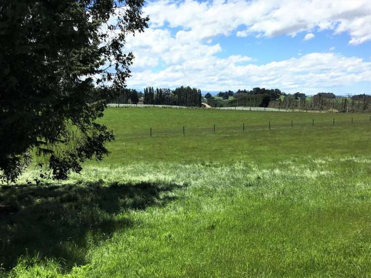 308 Waiwera Station Road Clinton and Surrounds_9