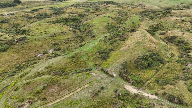 980 Wilsons Lead Road Cape Foulwind_11