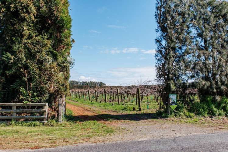59 Macdonald Road Te Teko_10