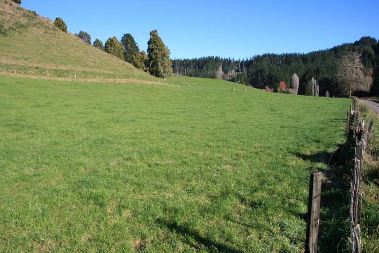 698 Mangaoapa Road Pohokura and Surrounds_3