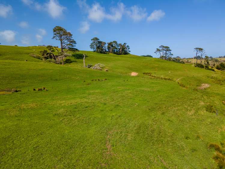 1047 Awhitu Road Waiuku_24