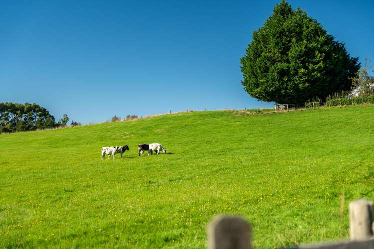 334 & 354 Waimahaka Fortification Road Waimahaka_35