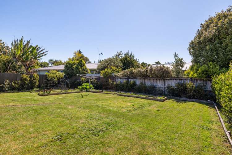 137A Boundary Road Claudelands_1