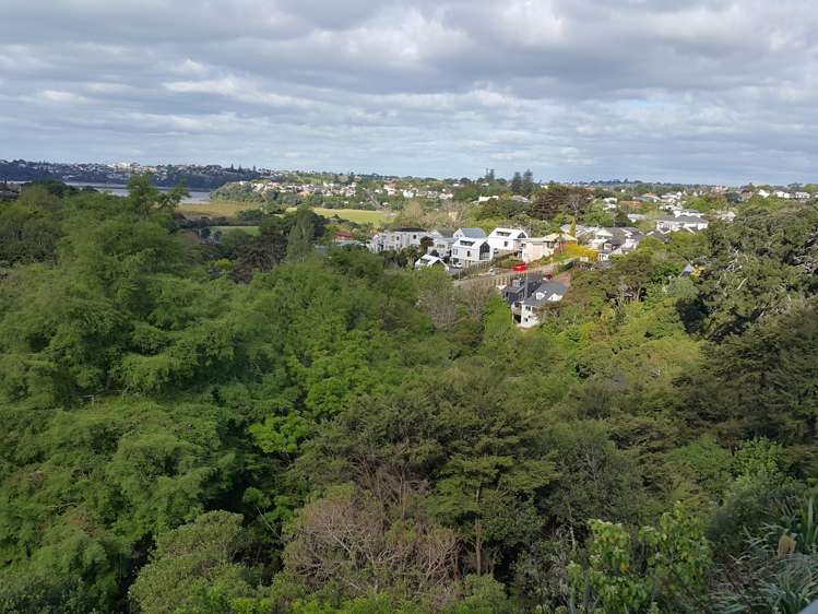 3j Laxon Terrace Remuera_0