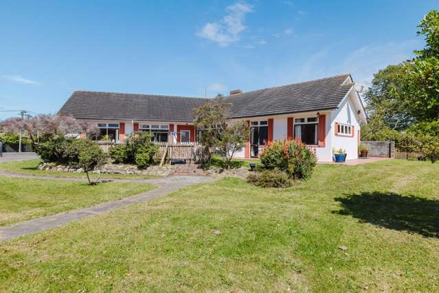 33 Daniell Street Bulls_1