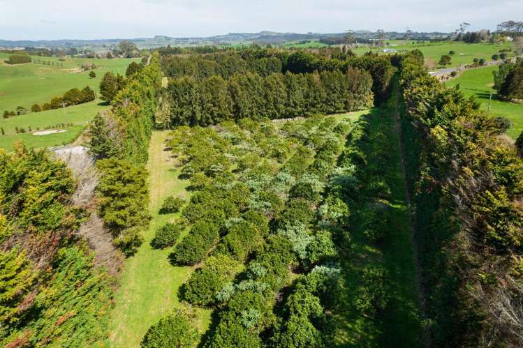 908A Te Ahu Ahu Road, Waimate North Kerikeri_17