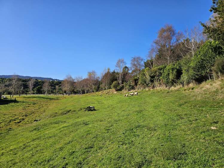 374 Rutherglen Road Marsden_8