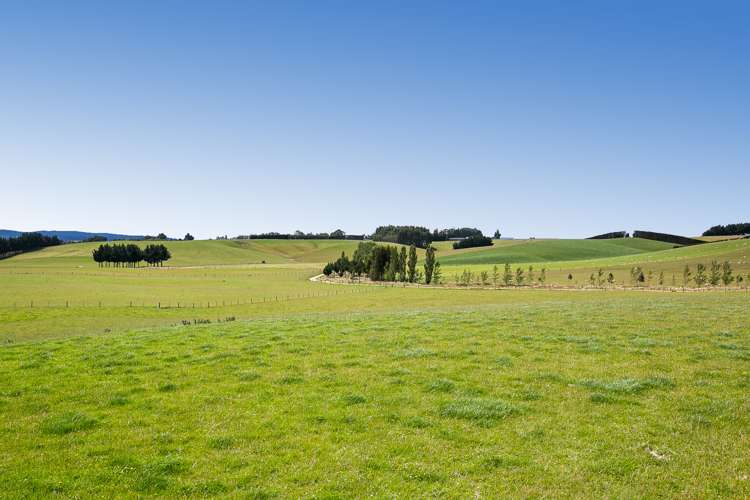 667 Paisley Road Clinton and Surrounds_10