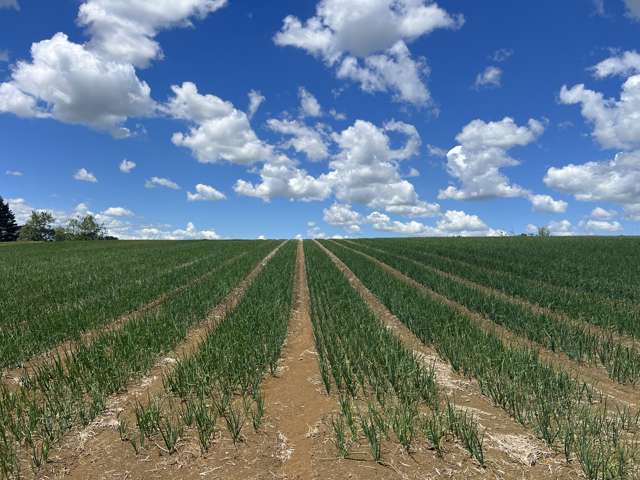 76 Brookside Road Glenbrook_1