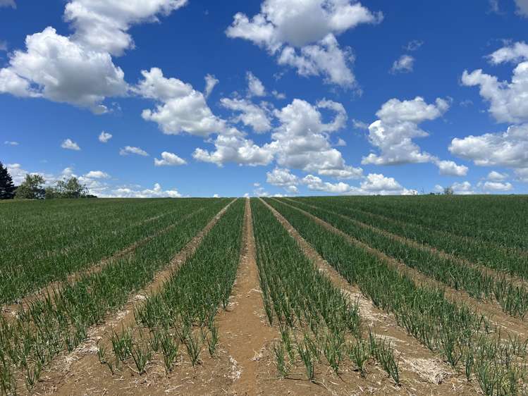 76 Brookside Road Glenbrook_1