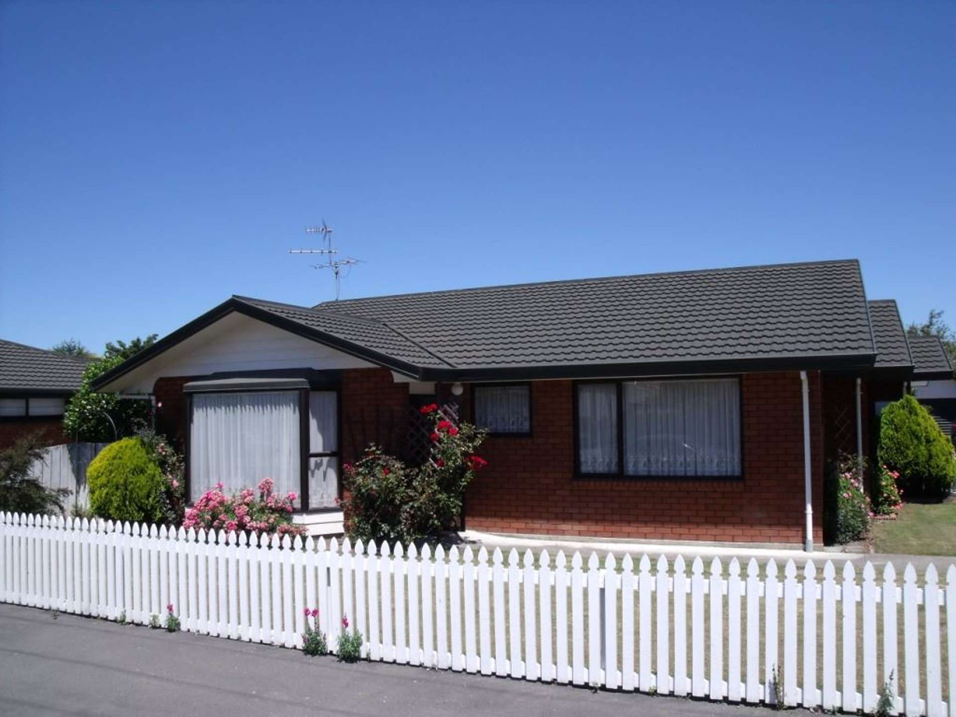 22 Francis Street Blenheim Central_0