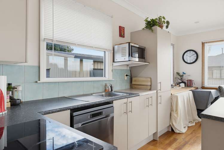 194 Parsons Street Tawhero_5