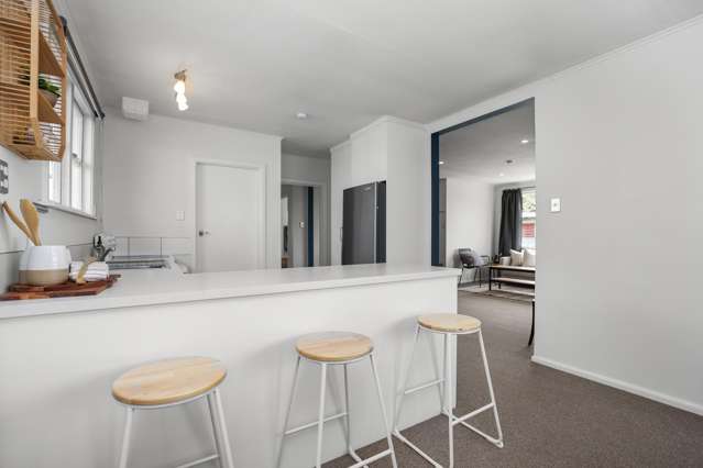 144 Grove Street Tinwald_4