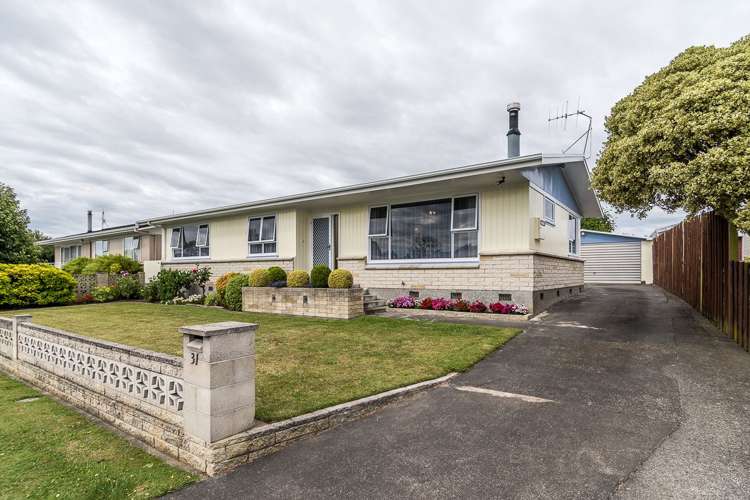 31 Plunket Street Tamatea_0