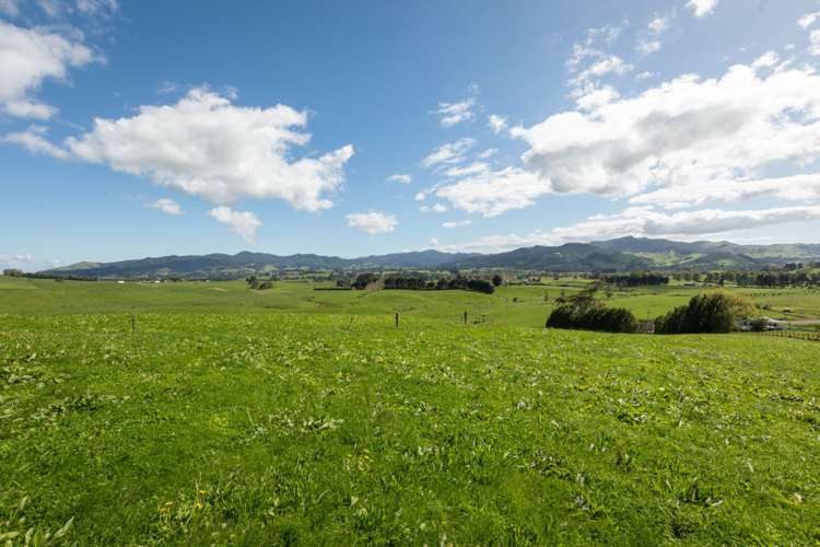 730 Waitawheta Road Waihi_5