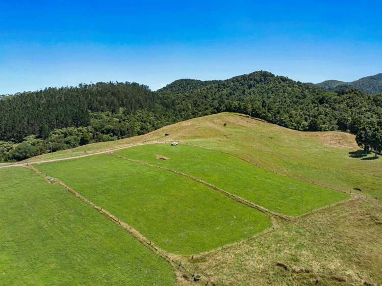 348D Rea Road Katikati_13