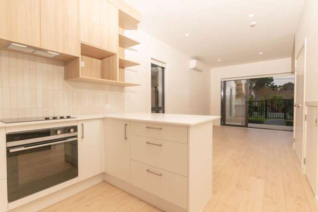 97 Atkinson Road 11422_4