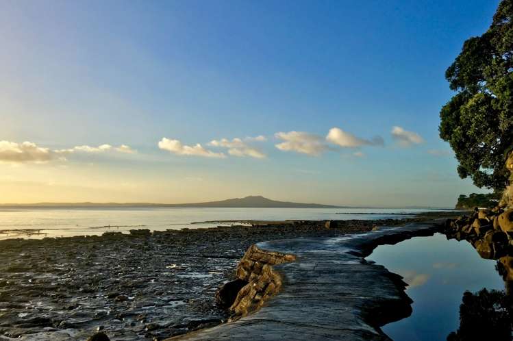 8 Hastings Road Mairangi Bay_20