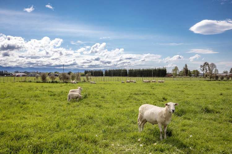 162 Taylor Road Ongaonga_7