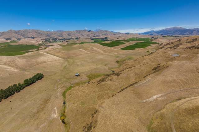 167 Marama Road Seddon_2