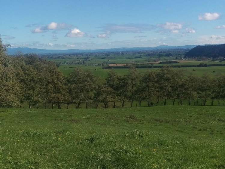 648 Scotsman Valley Road Tauwhare_10